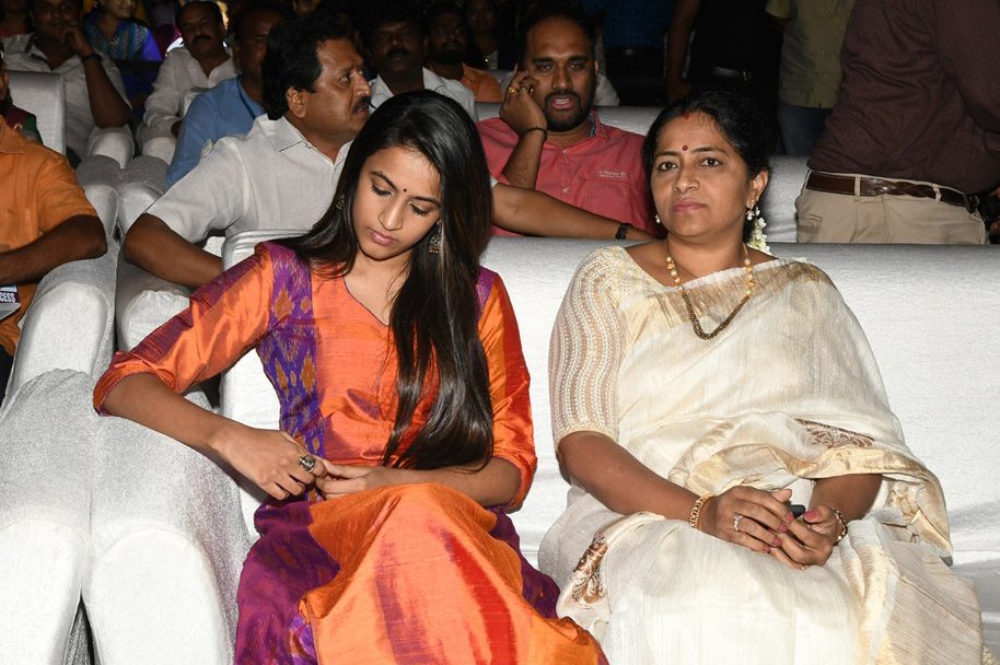 Mister-Movie-Pre-Release-Function